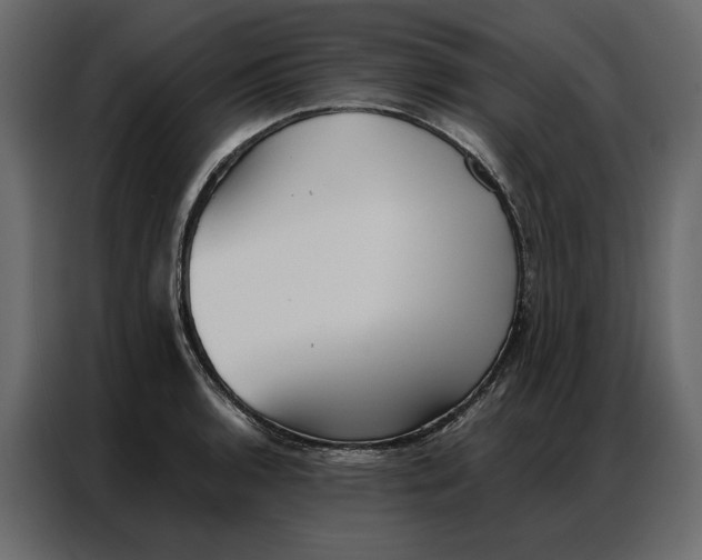 X0000086981136200705071411