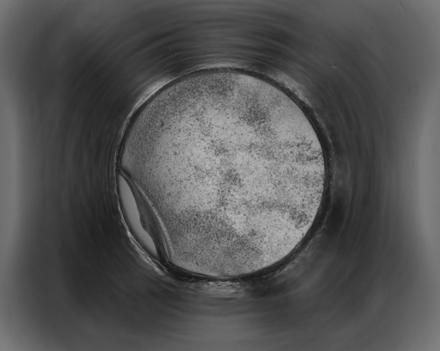 X0000086981137200705071411