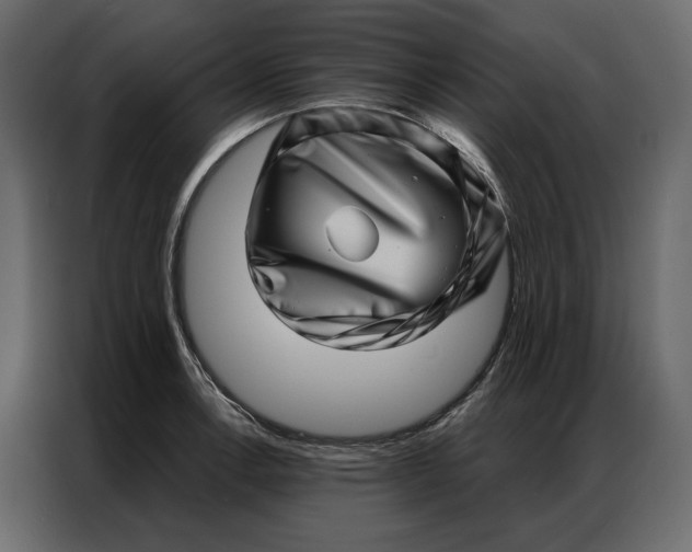 X0000086981138200705071411