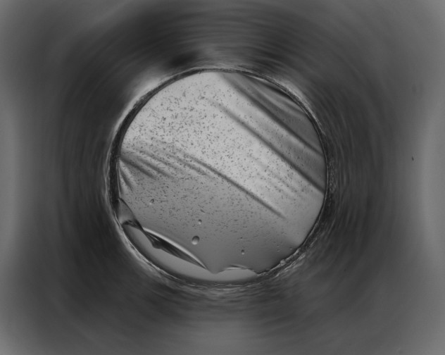 X0000086981139200705071411