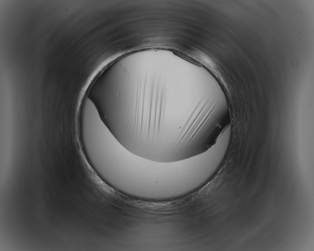 X0000086981140200705071411