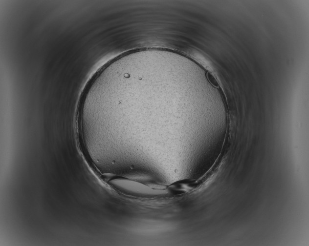 X0000086981141200705071411