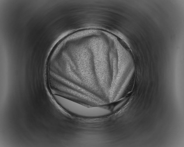 X0000086981142200705071411