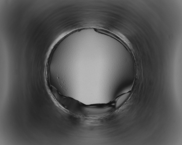 X0000086981144200705071411