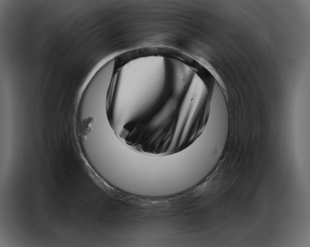 X0000086981148200705071411