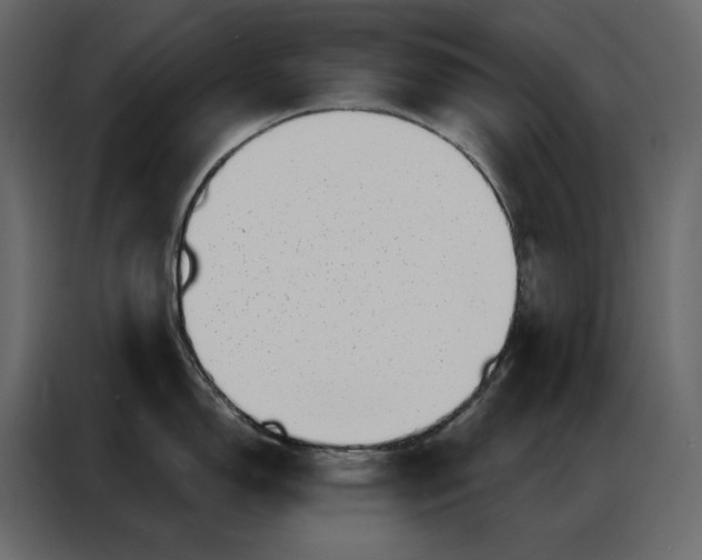 X0000086981150200705071412