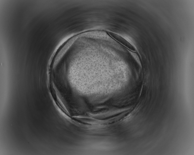 X0000086981151200705071412