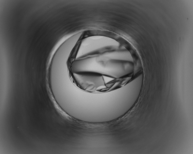 X0000086981152200705071412