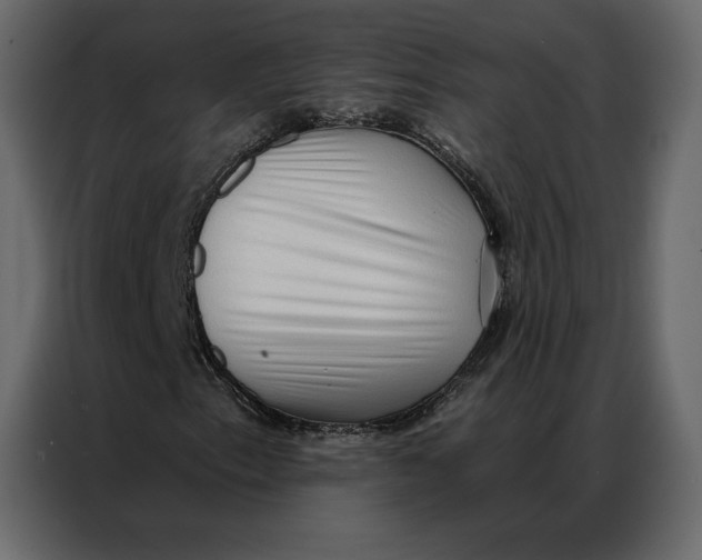 X0000086981153200705071411