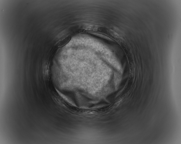 X0000086981154200705071411