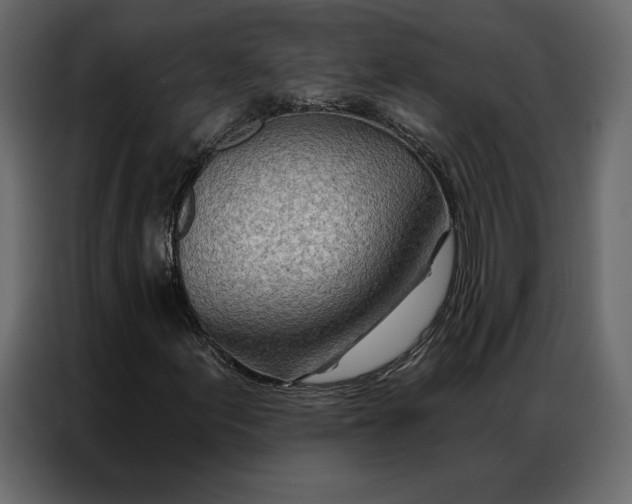 X0000086981155200705071411