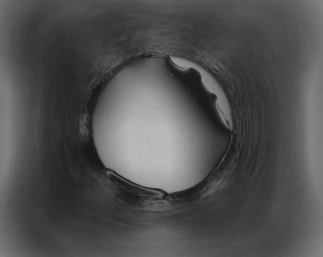 X0000086981156200705071411