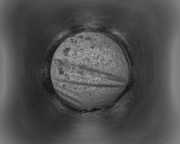 X0000086981159200705071411