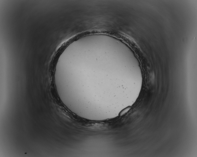 X0000086981160200705071411