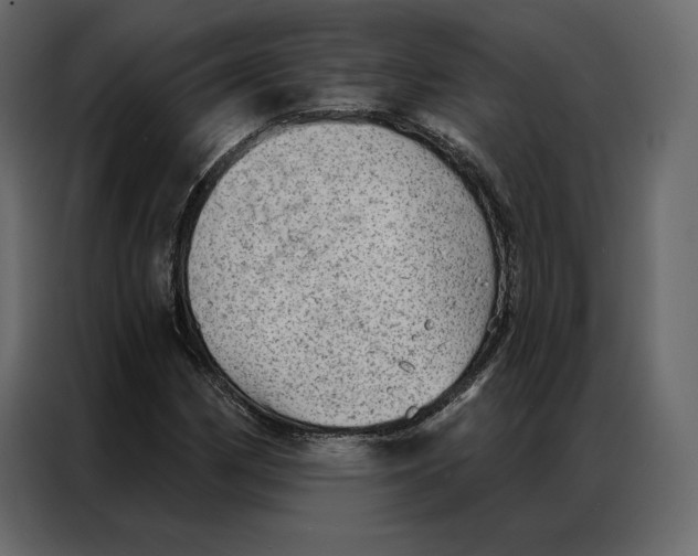 X0000086981162200705071411