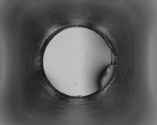 X0000086981164200705071411