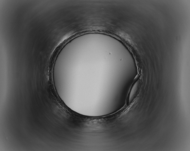 X0000086981165200705071411