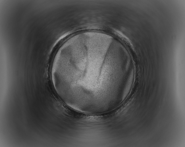 X0000086981166200705071411