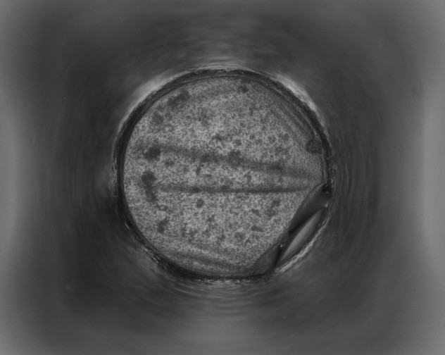 X0000086981167200705071411