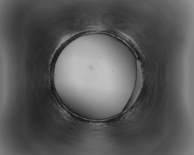 X0000086981168200705071411