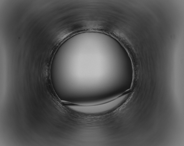 X0000086981169200705071411