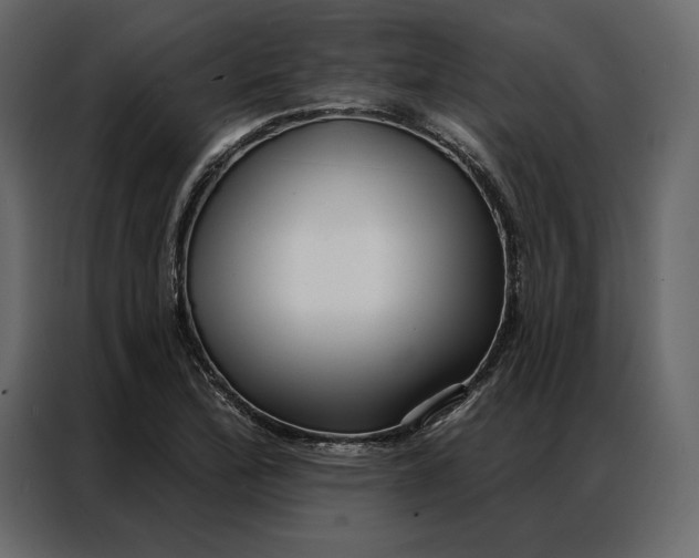 X0000086981172200705071411