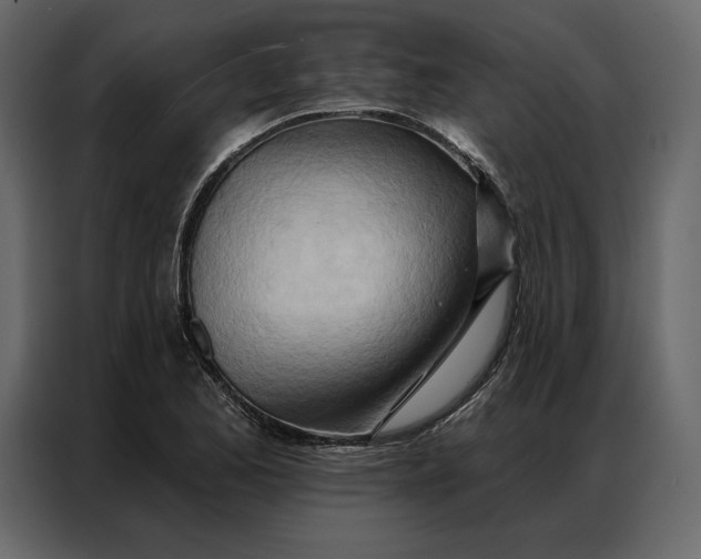 X0000086981173200705071411