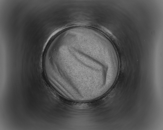 X0000086981174200705071411