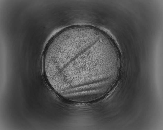 X0000086981175200705071411