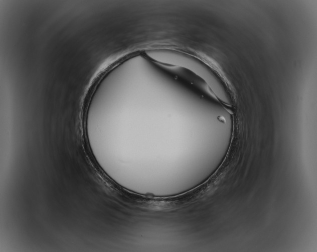 X0000086981176200705071411