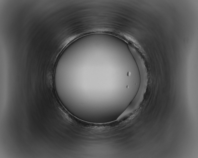 X0000086981177200705071411