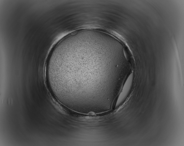 X0000086981179200705071411