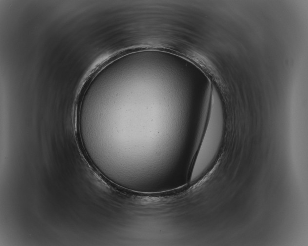 X0000086981180200705071411