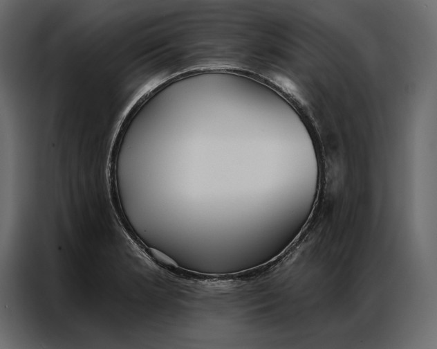 X0000086981181200705071411