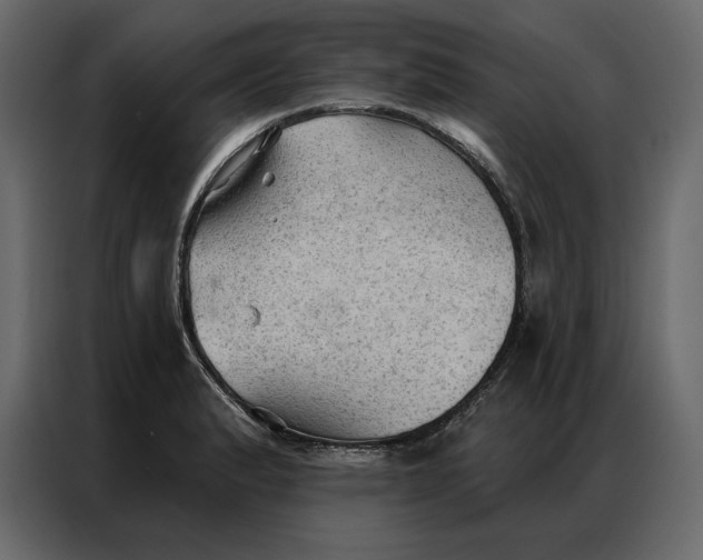 X0000086981183200705071411