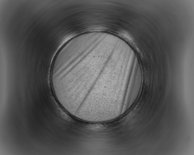 X0000086981186200705071410