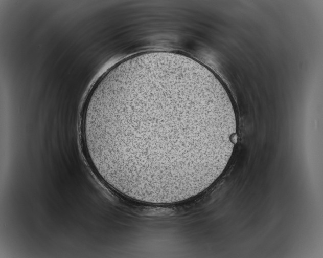 X0000086981187200705071410