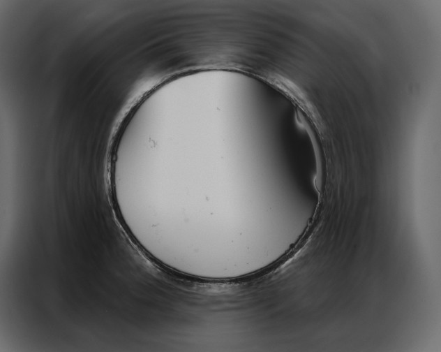 X0000086981188200705071410