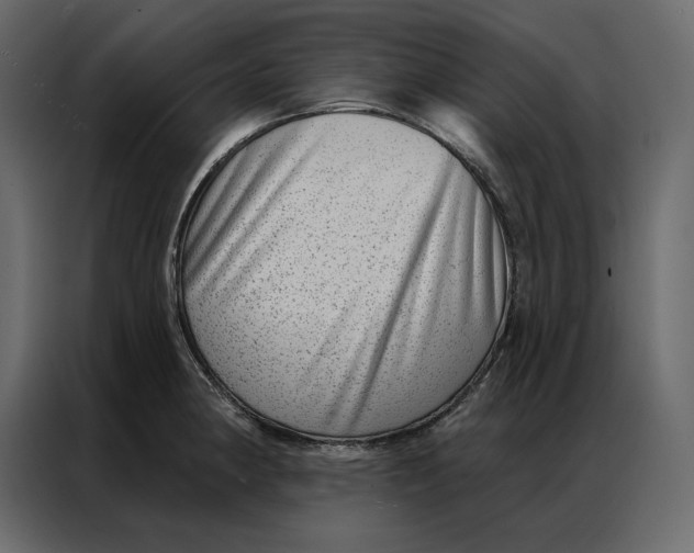 X0000086981190200705071410