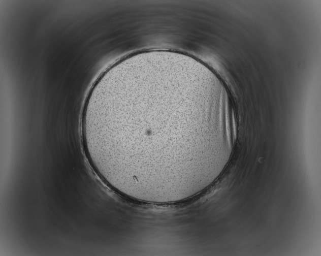 X0000086981191200705071410