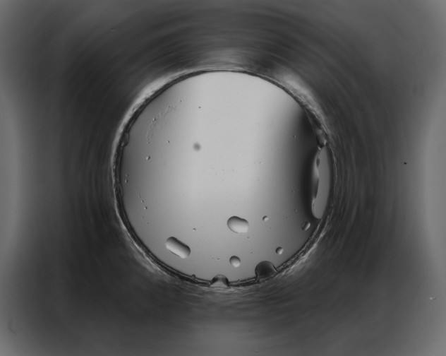 X0000086981192200705071410