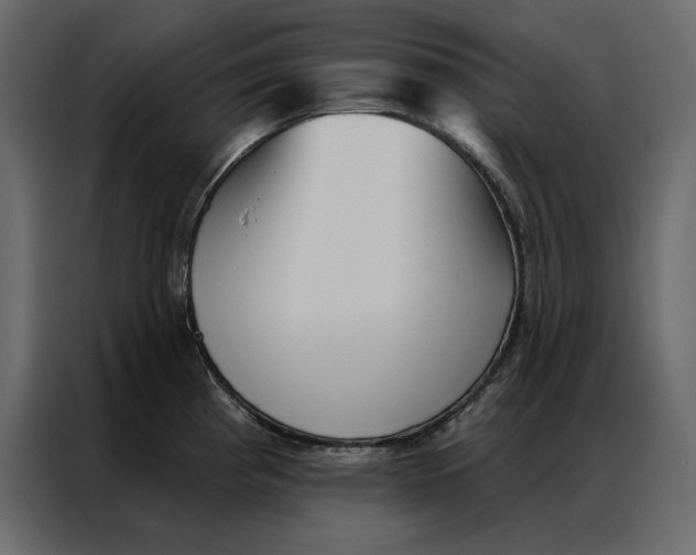 X0000086981193200705071410