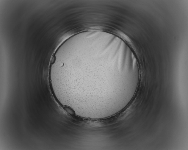 X0000086981194200705071410