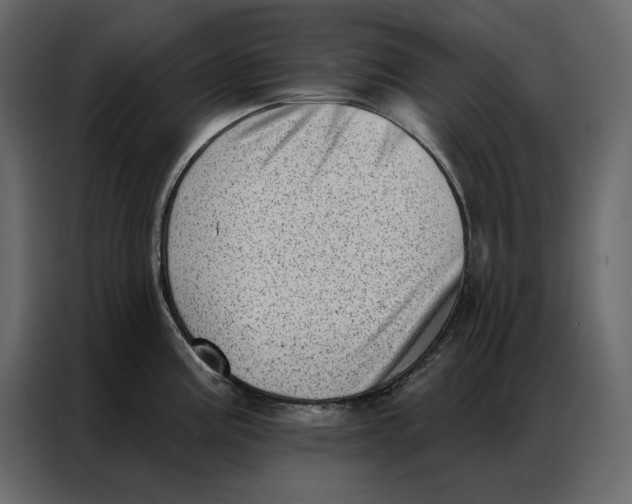 X0000086981195200705071410