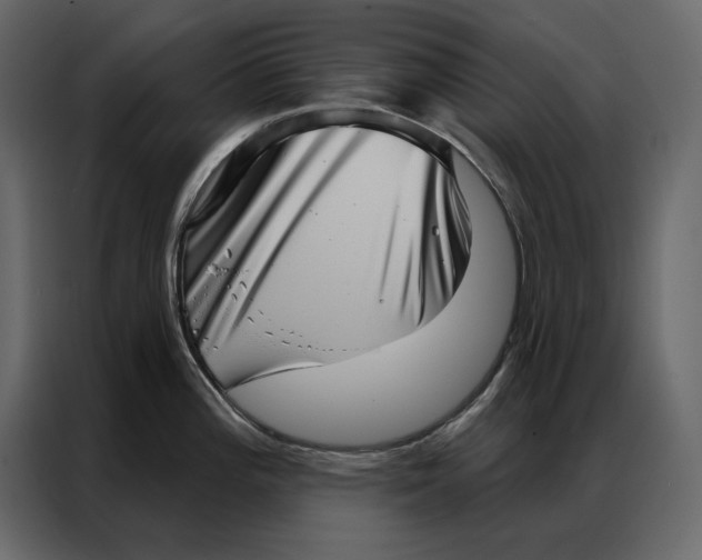 X0000086981196200705071410