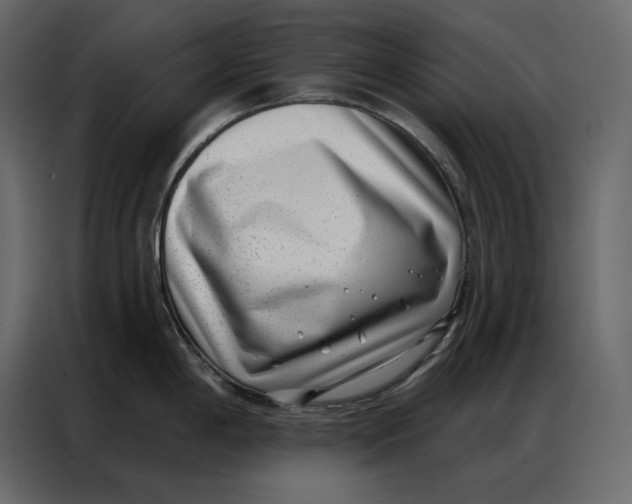 X0000086981198200705071410