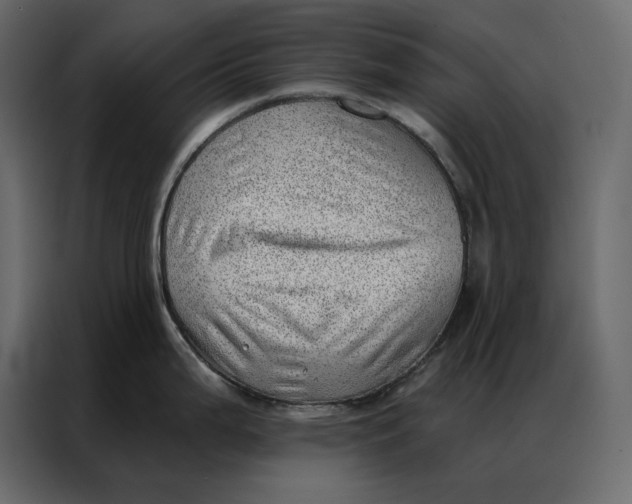 X0000086981199200705071410