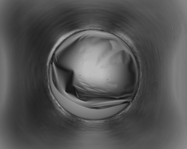 X0000086981200200705071410