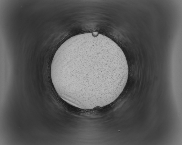 X0000086981201200705071410