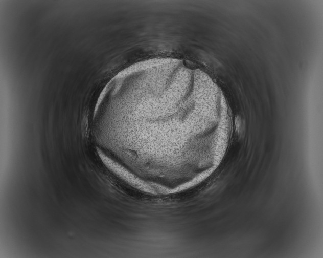 X0000086981203200705071410